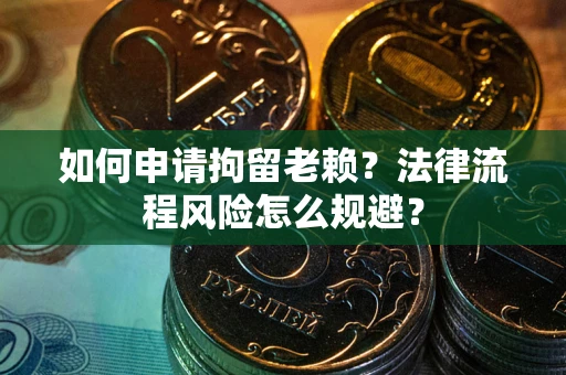 武汉如何申请拘留老赖？法律流程风险怎么规避？