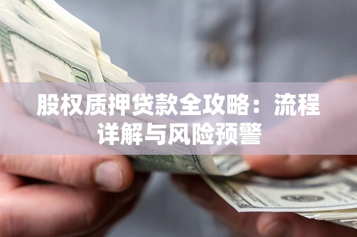 武汉股权质押贷款全攻略：流程详解与风险预警