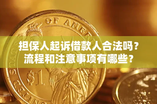 武汉担保人起诉借款人合法吗？流程和注意事项有哪些？