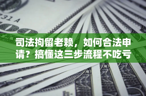 武汉司法拘留老赖，如何合法申请？搞懂这三步流程不吃亏！