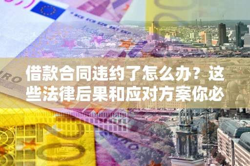 武汉借款合同违约了怎么办？这些法律后果和应对方案你必须知道