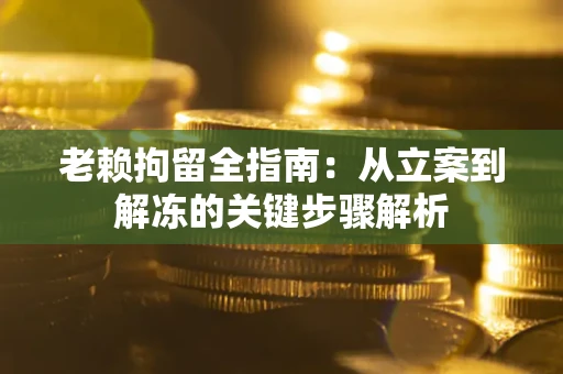 武汉老赖拘留全指南：从立案到解冻的关键步骤解析