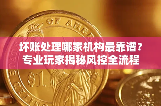 武汉坏账处理哪家机构最靠谱？专业玩家揭秘风控全流程