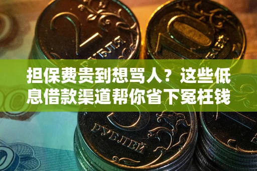 武汉担保费贵到想骂人？这些低息借款渠道帮你省下冤枉钱