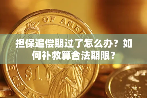 武汉担保追偿期过了怎么办？如何补救算合法期限？