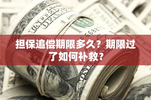 武汉担保追偿期限多久？期限过了如何补救？