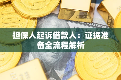 武汉担保人起诉借款人：证据准备全流程解析