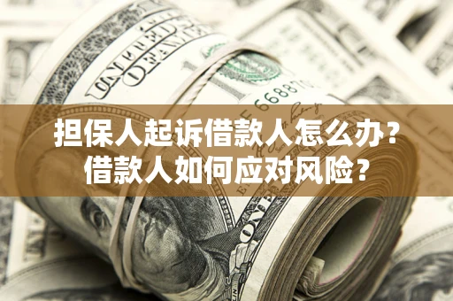 武汉担保人起诉借款人怎么办？借款人如何应对风险？