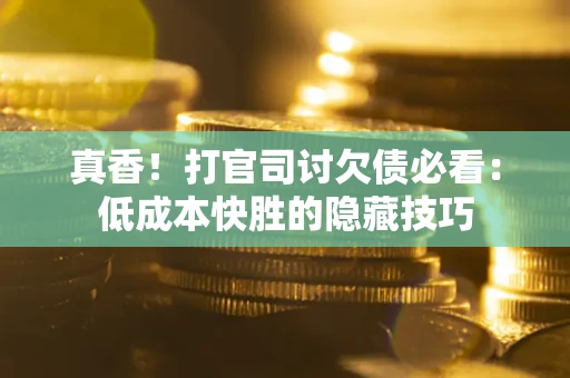 武汉真香！打官司讨欠债必看：低成本快胜的隐藏技巧