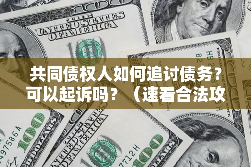 武汉共同债权人如何追讨债务？可以起诉吗？（速看合法攻略）