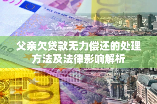武汉父亲欠贷款无力偿还的处理方法及法律影响解析