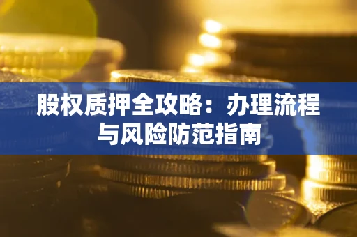 武汉股权质押全攻略：办理流程与风险防范指南