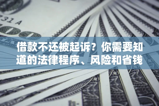 武汉借款不还被起诉？你需要知道的法律程序、风险和省钱技巧