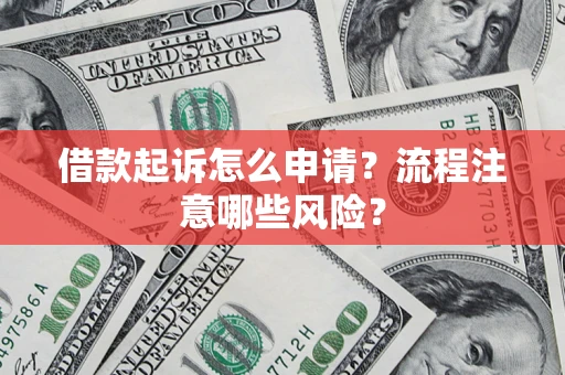 武汉借款起诉怎么申请？流程注意哪些风险？