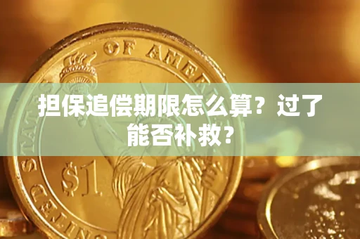 武汉担保追偿期限怎么算？过了能否补救？